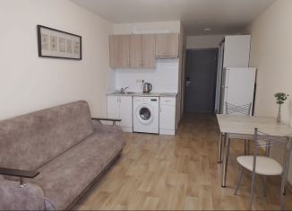 Сдам в аренду квартиру студию, 28 м2, Краснодар, улица Горького, 190, микрорайон Центральный