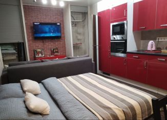 Сдается в аренду квартира студия, 30 м2, Нижний Новгород, проспект Гагарина, 101к2