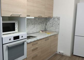 Сдается в аренду 1-комнатная квартира, 36.9 м2, посёлок Парголово, улица Шишкина, 309к1