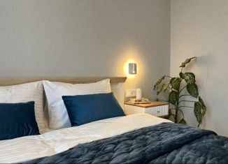 Аренда двухкомнатной квартиры, 54 м2, Воронеж, улица Загоровского, 1, ЖК Россия - Пять столиц