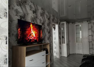1-комнатная квартира в аренду, 40 м2, Нижний Новгород, Казанское шоссе, Нижегородский район