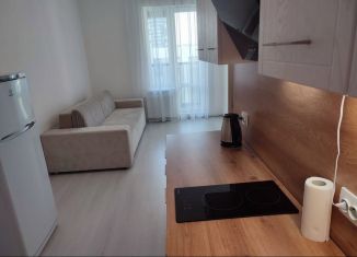 Сдача в аренду 1-ком. квартиры, 39.5 м2, Санкт-Петербург, Верхне-Каменская улица, 11к1, муниципальный округ Коломяги