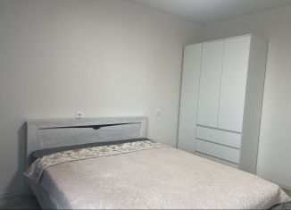 Сдаю 1-комнатную квартиру, 43 м2, Нижний Новгород, улица Бориса Видяева, 27