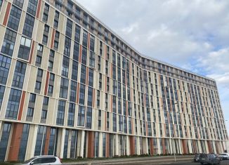 Продаю 2-комнатную квартиру, 41.1 м2, Санкт-Петербург, муниципальный округ Гавань, набережная Миклухо-Маклая, 1к1