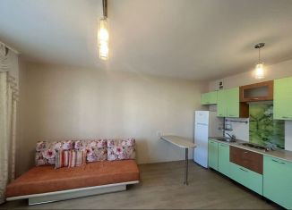 Сдаю квартиру студию, 25.9 м2, Новосибирская область, микрорайон Горский, 78