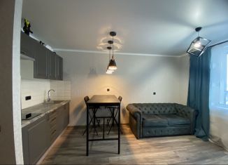 Аренда 1-комнатной квартиры, 32 м2, Казань, улица Архитектора Гайнутдинова, 26