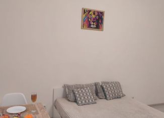 Аренда квартиры студии, 28 м2, Санкт-Петербург, Верхне-Каменская улица, 9к1, муниципальный округ Коломяги