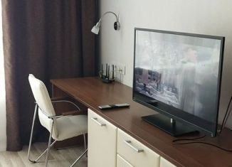 Квартира в аренду студия, 28.3 м2, Санкт-Петербург, улица Хошимина, 16А, метро Проспект Просвещения