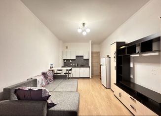 Аренда квартиры студии, 24 м2, Санкт-Петербург, улица Катерников, 7, Красносельский район