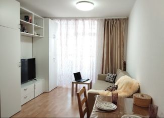 Продаю квартиру студию, 24.7 м2, Екатеринбург, метро Уралмаш, Сосновый переулок, 14