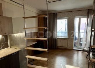 Продается квартира студия, 24.5 м2, Всеволожск, Пугоревский проезд, 1к2