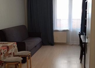 Квартира в аренду студия, 27 м2, Мурино, Петровский бульвар, 7, ЖК Ласточка