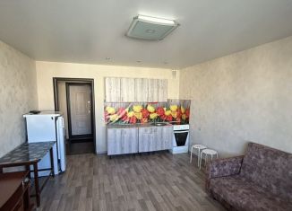 Продаю квартиру студию, 25 м2, Новосибирск, улица Виктора Уса, 15, Кировский район