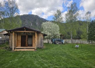 Сдается в аренду дом, 12 м2, Республика Алтай