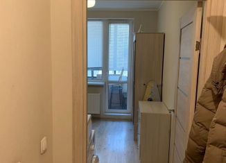 Сдается квартира студия, 22 м2, Санкт-Петербург, Политехническая улица, 6, метро Площадь Мужества