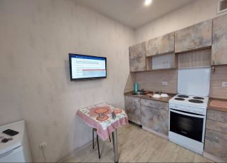 Квартира в аренду студия, 22 м2, Тюмень, улица Фармана Салманова, 26, Калининский округ