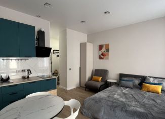 Аренда квартиры студии, 25 м2, Санкт-Петербург, Полтавская улица, 10, муниципальный округ Лиговка-Ямская