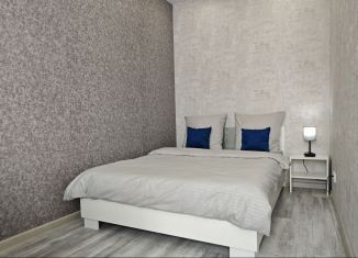 Сдам в аренду 1-ком. квартиру, 42.5 м2, Ростов-на-Дону, улица Ткачёва, 42с2, ЖК Пятый Элемент