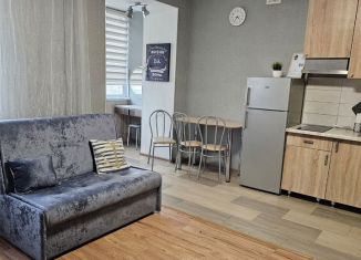 Сдается в аренду квартира студия, 38 м2, Саратов, Техническая улица, 7А