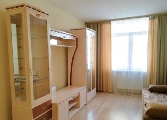 1-ком. квартира в аренду, 32 м2, Санкт-Петербург, проспект Маршала Блюхера, 9к3, метро Площадь Мужества