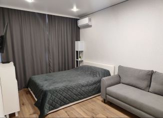 Сдается однокомнатная квартира, 32 м2, Ростов-на-Дону, улица Ерёменко, 110/2с1, ЖК Пятый Элемент