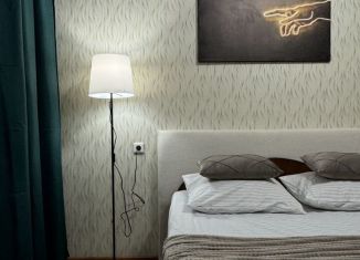 Сдам однокомнатную квартиру, 56 м2, Воронеж, улица Революции 1905 года, 80Г