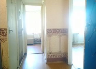 Сдаю 1-ком. квартиру, 34 м2, деревня Горбунки, деревня Горбунки, 2