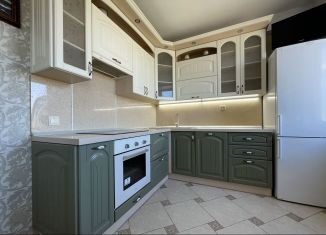 Сдается в аренду 1-комнатная квартира, 46.2 м2, Санкт-Петербург, улица Коммунаров, 124, метро Проспект Ветеранов