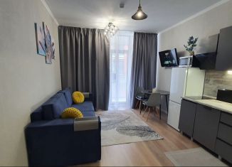 Сдам в аренду квартиру студию, 27 м2, посёлок Шушары, улица Нины Петровой, 10к1