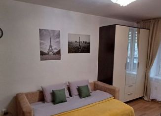 Квартира в аренду студия, 25 м2, Мурино, Охтинская аллея, 10к1, ЖК Девятый вал