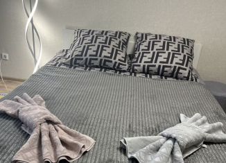 Сдам 1-комнатную квартиру, 40 м2, Нижний Новгород, улица Чаадаева, 2к1