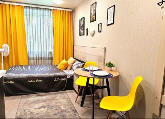 Сдам в аренду квартиру студию, 19 м2, Тульская область, улица Сойфера, 1