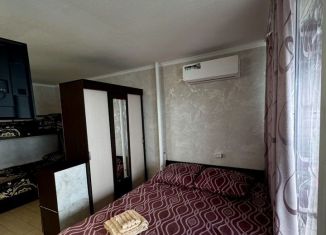Аренда квартиры студии, 50 м2, Сочи, Новая улица, 9к2