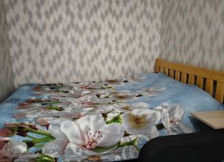 Сдается 1-ком. квартира, 31 м2, Ленинградская область, Молодёжная улица, 6