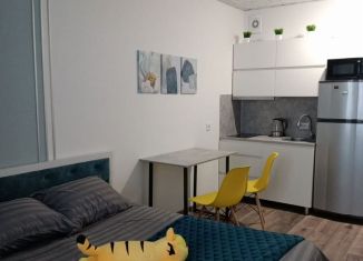 Сдается квартира студия, 21 м2, Всеволожск, шоссе Дорога Жизни, 7к2