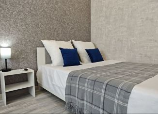 Сдается однокомнатная квартира, 42 м2, Ростов-на-Дону, улица Ткачёва, 42с1, ЖК Пятый Элемент