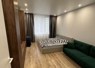 Сдаю в аренду 1-комнатную квартиру, 42 м2, Санкт-Петербург, проспект Патриотов, 34, Красносельский район