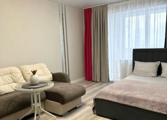 Сдача в аренду однокомнатной квартиры, 36.5 м2, Омск, 3-я Енисейская улица