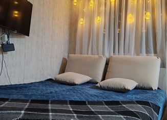 Сдается в аренду 1-ком. квартира, 32 м2, Свердловская область, улица Красных Героев, 20к2