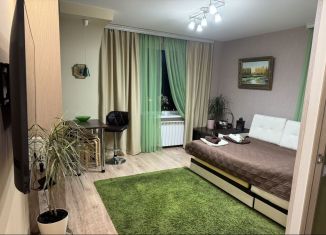 Аренда 1-комнатной квартиры, 32 м2, Ленинградская область, проспект Ленина, 30