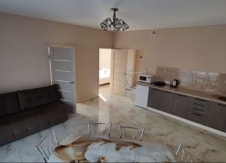 Комната в аренду, 60 м2, поселок городского типа Заозерное, Греческая улица, 7