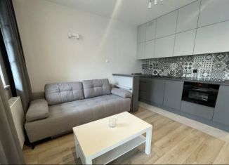Продается квартира студия, 20.2 м2, Санкт-Петербург, переулок Ульяны Громовой, 5, муниципальный округ Смольнинское