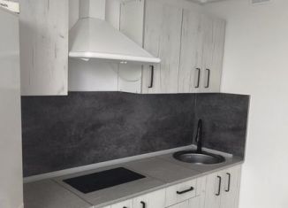 Сдам квартиру студию, 24 м2, Челябинск, улица Блюхера, 125А