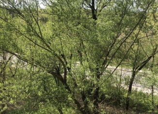 1-ком. квартира на продажу, 31.1 м2, посёлок ЛМС, микрорайон Центральный, 14