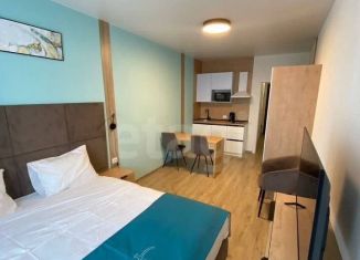 Квартира на продажу студия, 26.4 м2, Санкт-Петербург, Варфоломеевская улица, 6, метро Международная
