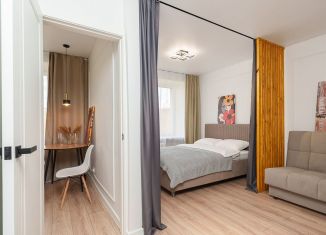 Продажа 1-ком. квартиры, 30.5 м2, Новосибирск, улица Блюхера, 16, Ленинский район