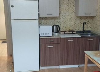 Квартира в аренду студия, 26 м2, Мурино, бульвар Менделеева, 20, ЖК Гринландия