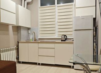 Сдается в аренду квартира студия, 18 м2, Сочи, Виноградная улица, 133/33