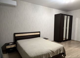 1-ком. квартира в аренду, 50 м2, Краснодар, Октябрьская улица, 181/2к1, микрорайон Центральный