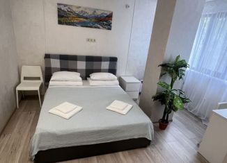 Сдается в аренду 1-ком. квартира, 45 м2, Сочи, Курортный проспект, 84, микрорайон Яна Фабрициуса